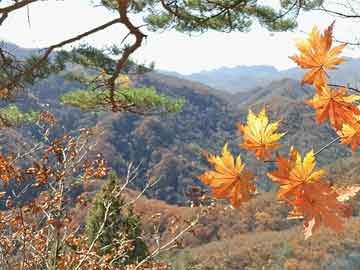 外交部介绍今年“澜湄周”活动亮点