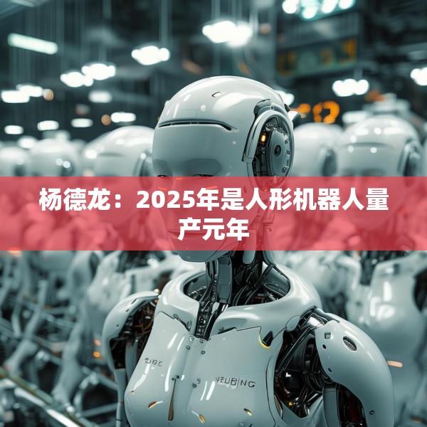 杨德龙：2025年是人形机器人量产元年