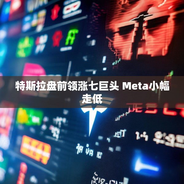 特斯拉盘前领涨七巨头 Meta小幅走低