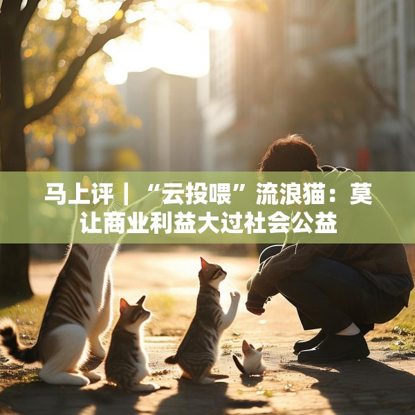 马上评｜“云投喂”流浪猫：莫让商业利益大过社会公益