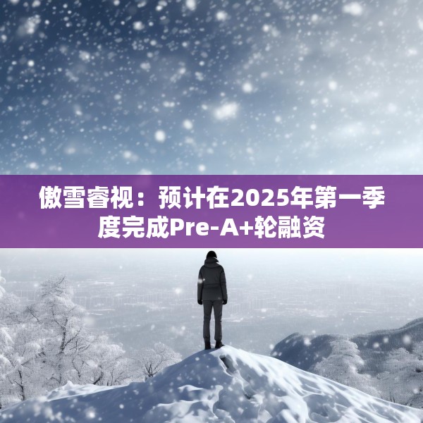 傲雪睿视：预计在2025年第一季度完成Pre-A+轮融资